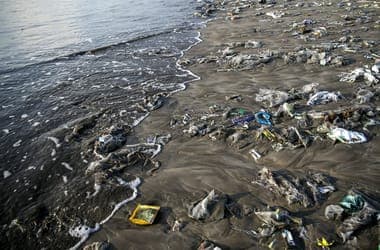 New System Uses Sunlight to Break Down Plastic Waste into Acetic Acid