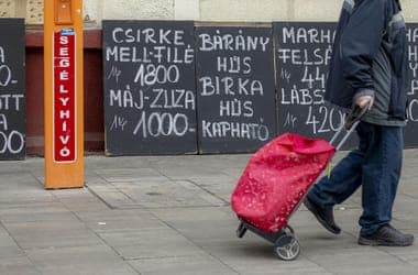 Hungarian Public Opinion Poll on Price Increases and Ukraine War Impact