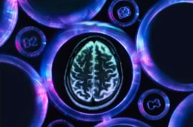 Research Links Intellectual Activities to Reduced Alzheimer's Risk
