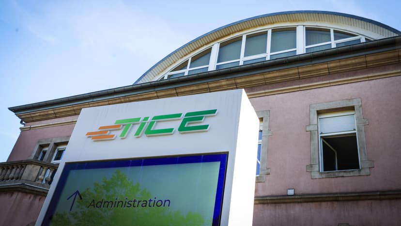 TICE management accused of reading confidential employee emails