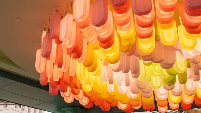 When light becomes a lifestyle