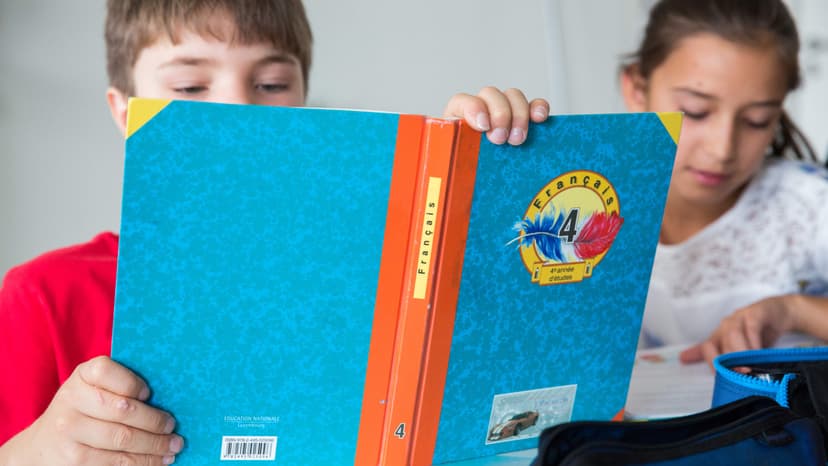 Debate on French Language Status in Luxembourg