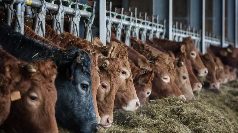 Luxembourg's Oldest Economic Sector in Figures