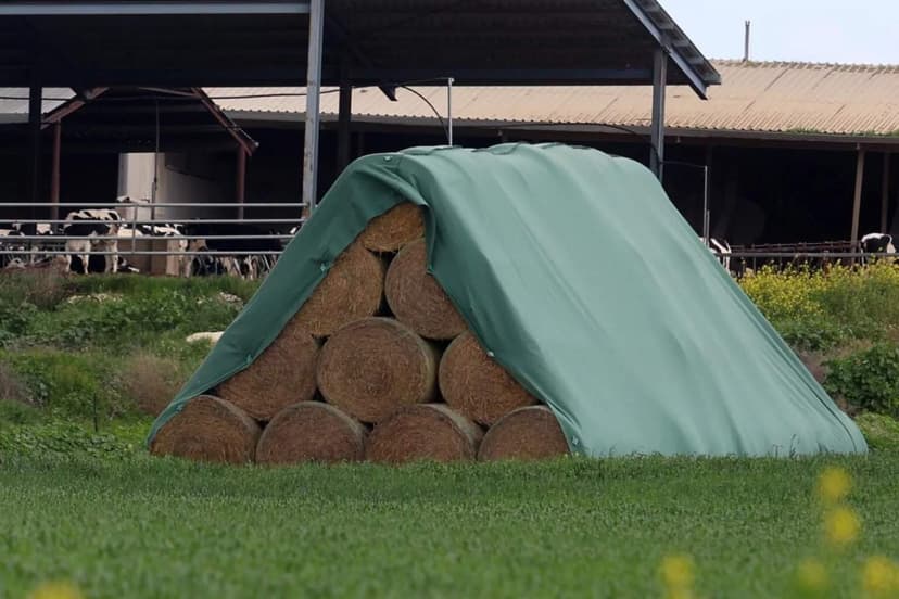 Spotlight on 75-year-old over hay smuggling from occupied north after foot-and-mouth outbreak