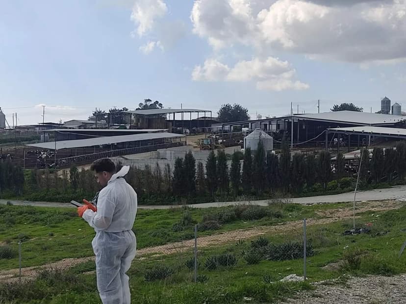 Cyprus Halloumi Exports Safe as UK, Canada, Australia Clear Amid Foot-and-Mouth Outbreak