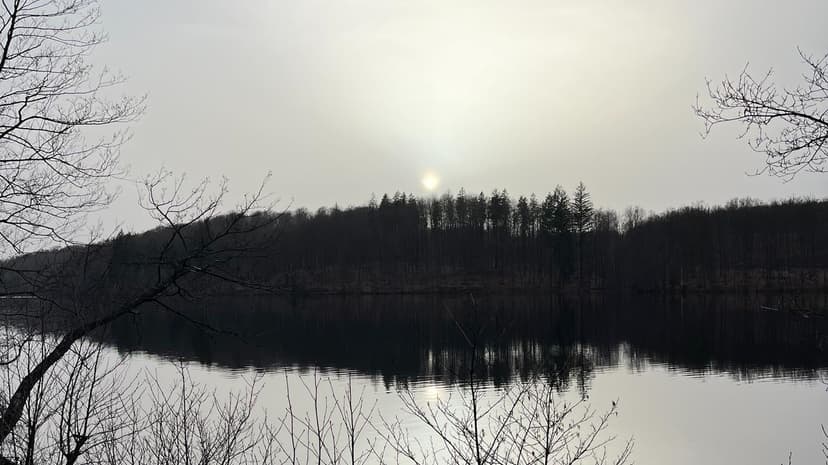 Pył saharyjski. Niebo nad Polską może zmętnieć