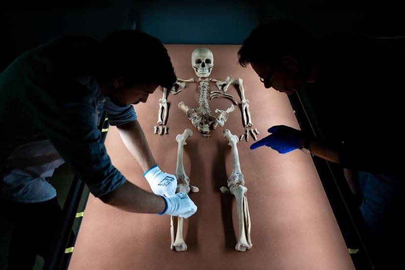 Study Links Prehistoric Europeans Through 'Horned Beings' Found in Shamaness's Grave