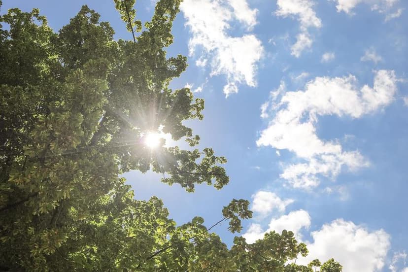 Czech Republic Anticipates Sunny Week with Spring-like Temperatures