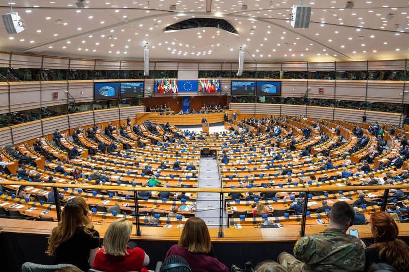 Czech MEPs Performance and Influence in the European Parliament