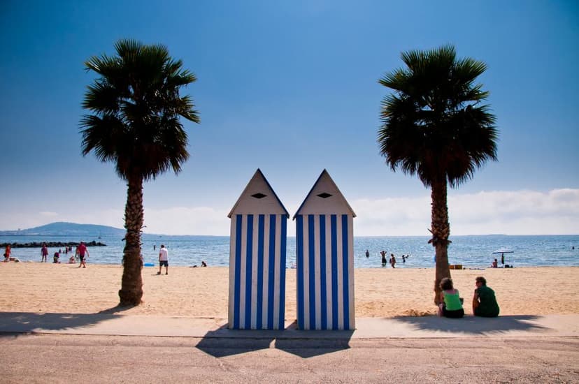 L'Étang de Thau in Southern France Hailed as 'Natural Paradise'
