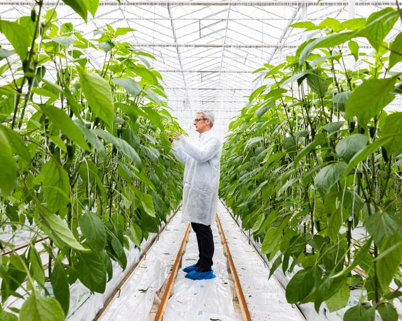 Food Producers Warn of Rising Energy Charges Impact