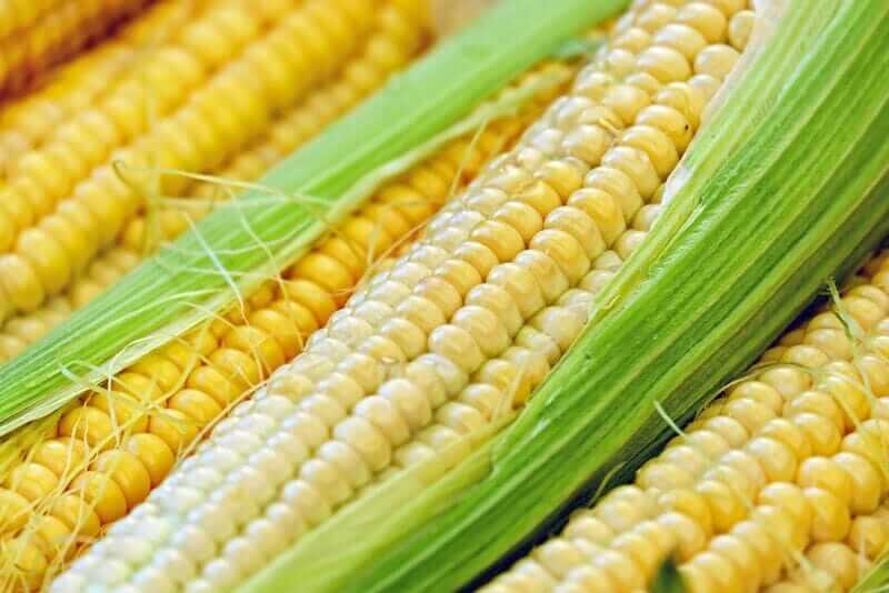 Corn Firms into the Wednesday Close