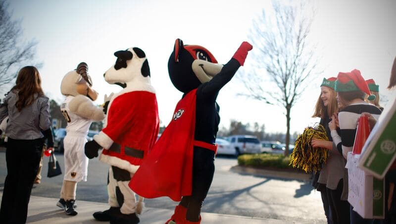 A lineup of 9 of the wackiest minor league baseball team names