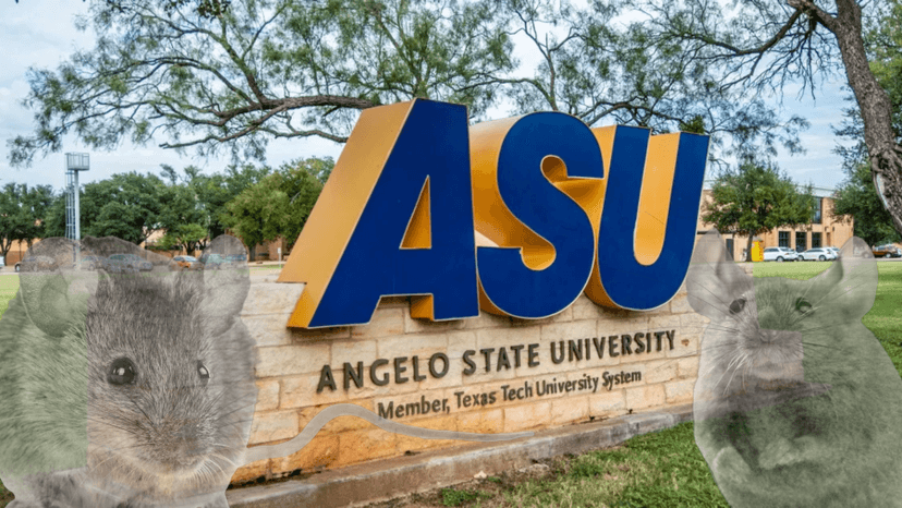 Angelo State Athletics with Griff McClellan | KLST Season Pass | Week 25 | Feb. 23 – March 1