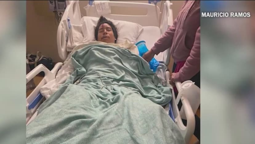 Suspect Sought in San Diego Hit-and-Run That Killed Dog, Injured Man