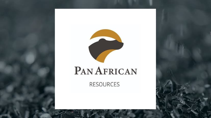 Pan African Resources H1 Earnings Call Highlights