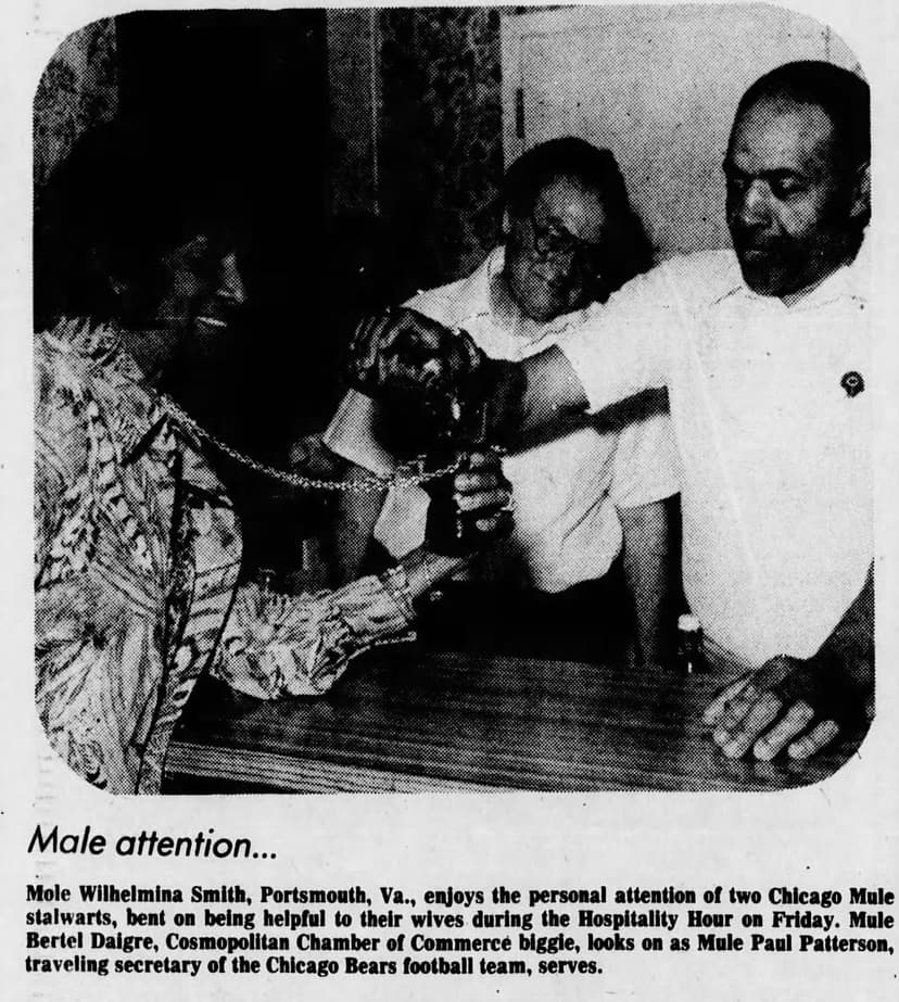 Paul Patterson: The Untold Story of the Chicago Bears' First Black Executive