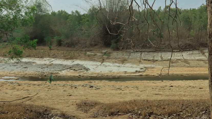 Rare Predator Spotted in Unexpected Location