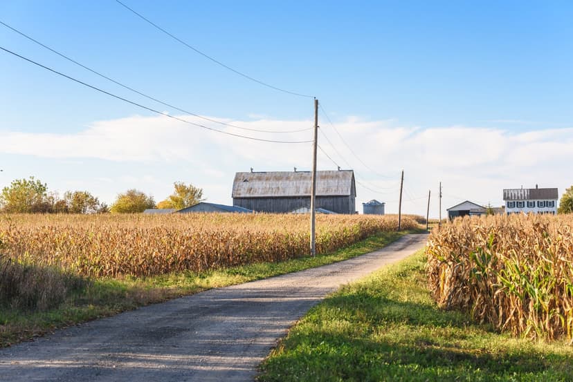 Man Faces Penalties for Criminal Act in Rural Area