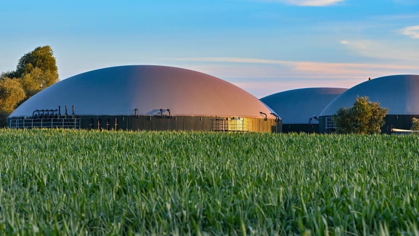 German Government's Biogas Heating Strategy Questioned by Expert