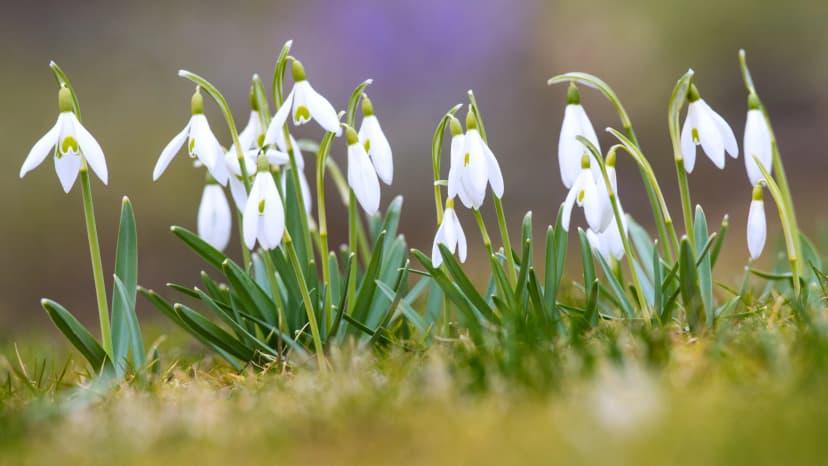 Changes in Germany for March: Schufa, Elections, Daylight Saving