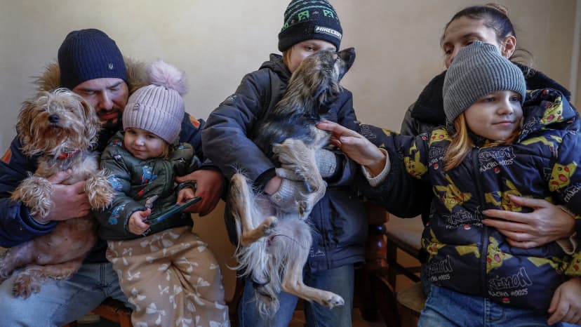 Ukrainian Family Finds Refuge in Kyiv Cafe with Mini-Pigs Amidst War