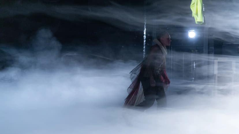 Julia Riedler's Hamlet Production in Freiburg