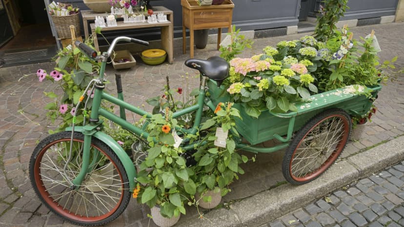 Greens in Freiburg Face Identity Crisis Ahead of Local Elections