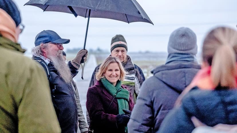 Rhineland-Palatinate Election: Greens' Success and Coalition Prospects