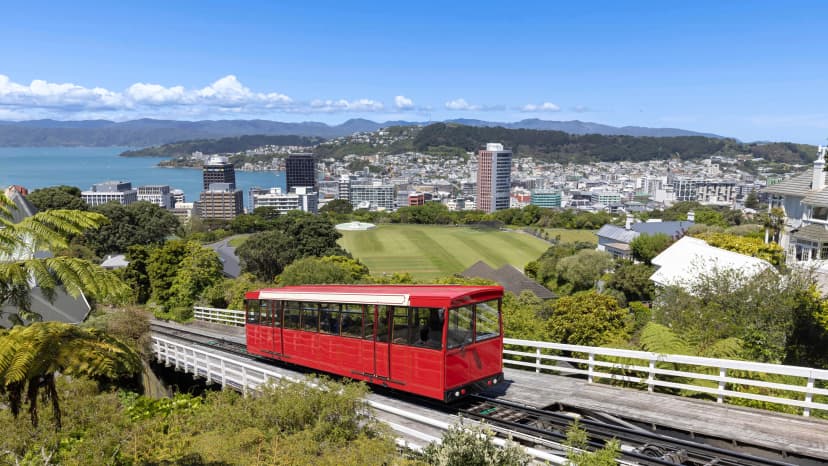 New Zealand Considers Driving Restrictions Amid Fuel Shortages