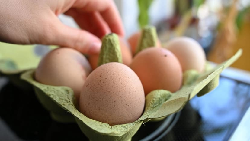 Concerns Over Potential Egg Shortage Before Easter in Germany