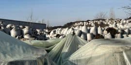 Makstil Covers Part of Hazardous Dust, Inspectorate Demands Full Repackaging Within Three Months