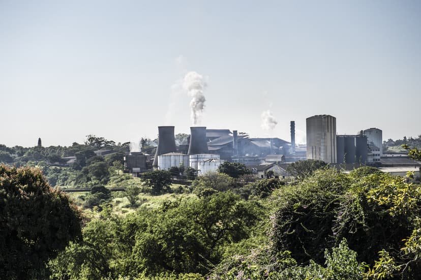 Government and IDC Oppose Tongaat Hulett Liquidation