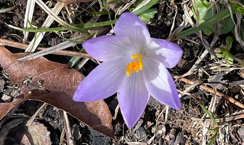 Sunny and Warm Weekend Expected