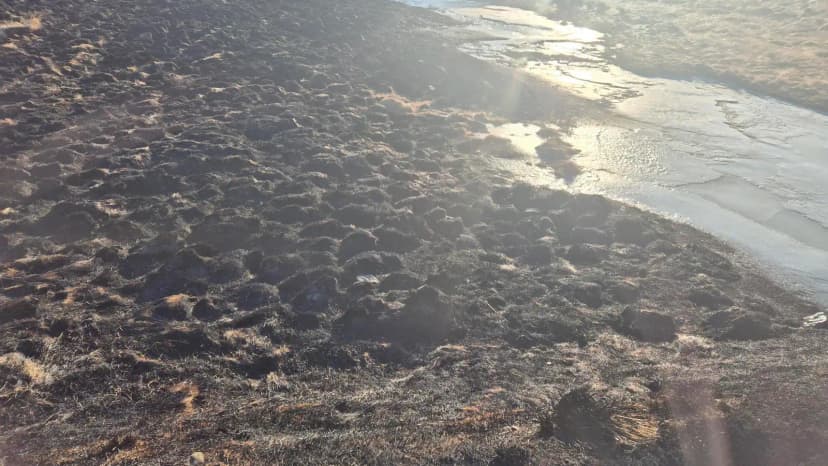 Brush Fires Continue in Capital Region of Iceland Amid Dry Conditions