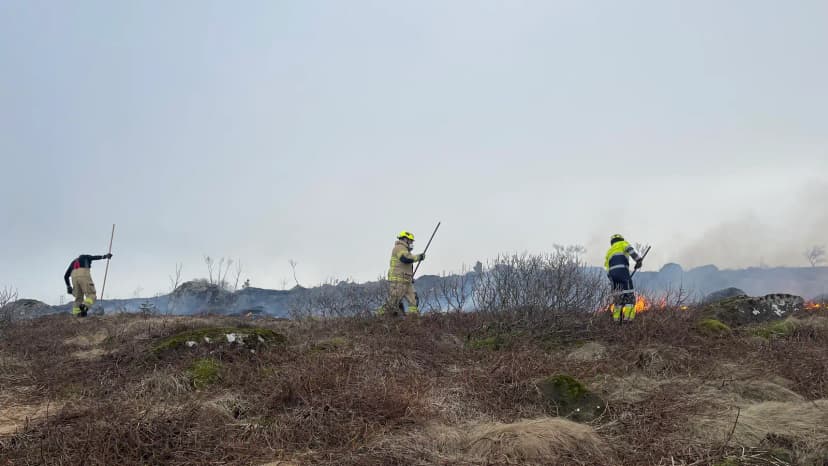 Grass Fire Extinguished in Iceland