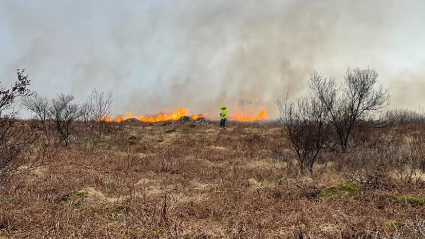 Brushfire Spreads in Heiðmörk, Iceland, Requiring Full Fire Department Response