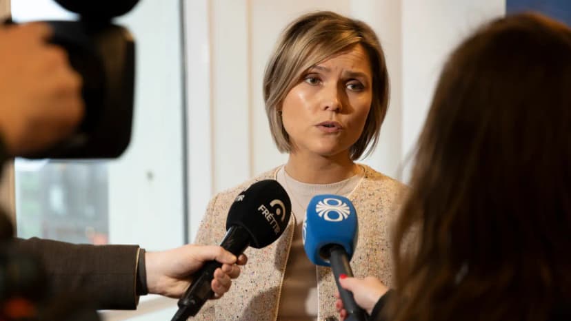 Icelandic Government Grants 25 Million ISK to Landspítali for Bakkakot Foster Children