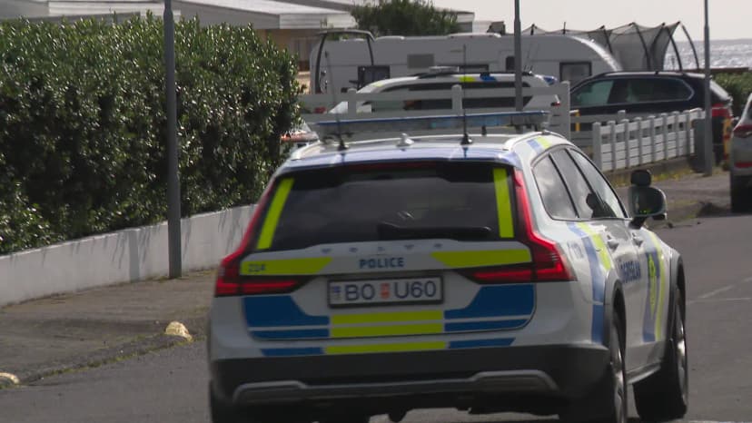 Man Placed in Repeat Offender Custody After Weekend Crime Spree in Suðurnesja