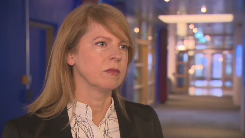 Iceland Adopts Outdated EU Energy Regulations Amidst EU Deregulation