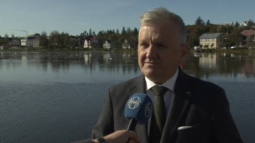 Icelandic Politician Expects to Become Deputy City Council Member