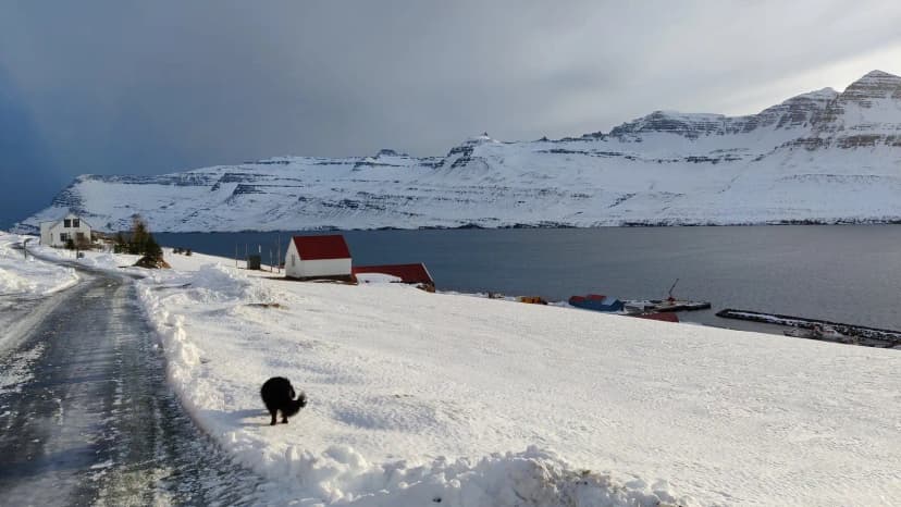 Weather Forecast: Slow Winds Today, Stronger Winds Tomorrow in East Iceland