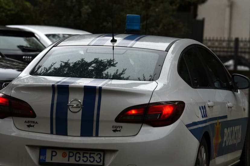 Montenegrin Woman Steals 70,000 Euros from Elderly Man