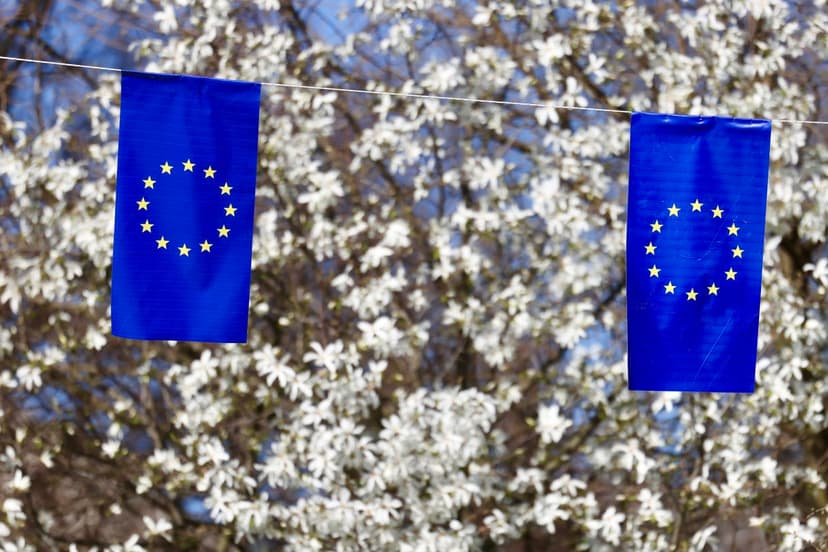 Neither Ukraine nor Montenegro: The European Union will soon get a new member?