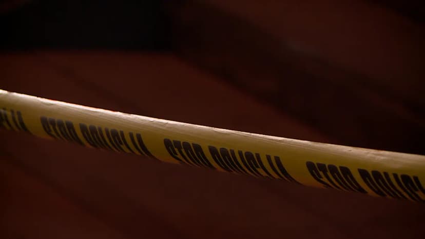 Three Cars Damaged in Brčko Fire