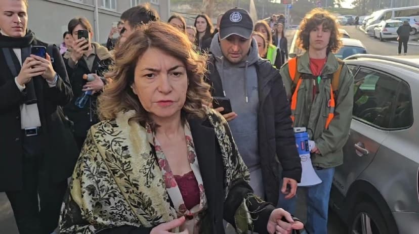 Serbian Opposition Criticizes Danka Nešović's Appointment