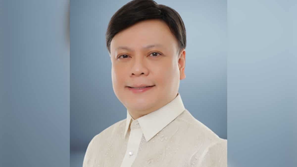 Impeachment ‘should not be reduced to elections’ – Hontiveros