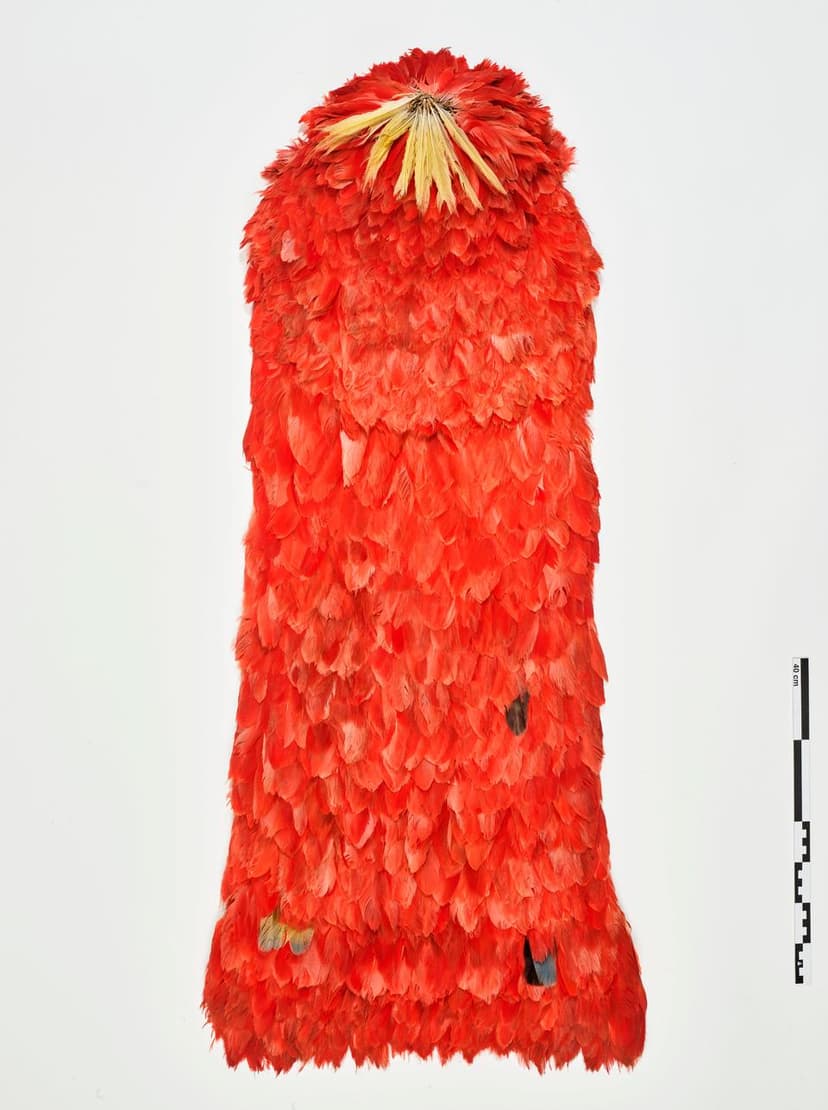 Rane Willerslev var »fandeme irriteret«. Nu er der nyt om fjerkappen