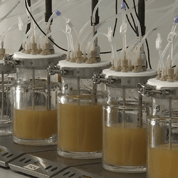 Estonia's only intestinal simulator helps researchers study digestion