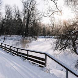 Ministry: Estonia might hit LULUCF target after all